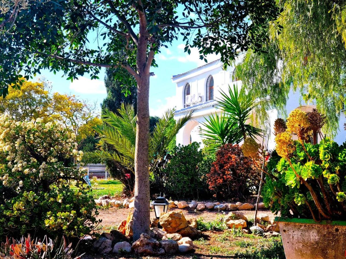 Chalet Alicante Sol Y Luz San Vicente Raspeig Εξωτερικό φωτογραφία