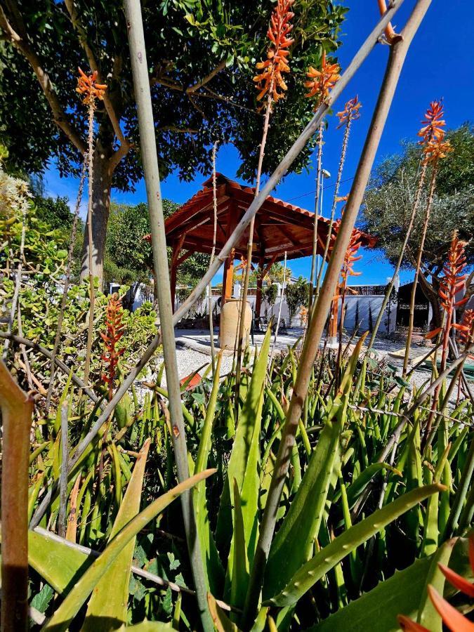 Chalet Alicante Sol Y Luz San Vicente Raspeig Εξωτερικό φωτογραφία
